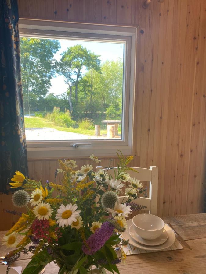 Kingfisher Cabin - Wild Escapes Wrenbury Off Grid Glamping - Ages 12 And Over Baddiley Kültér fotó