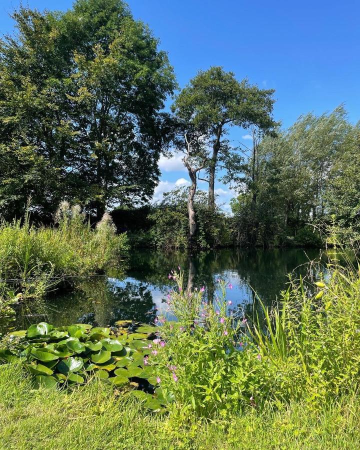 Kingfisher Cabin - Wild Escapes Wrenbury Off Grid Glamping - Ages 12 And Over Baddiley Kültér fotó