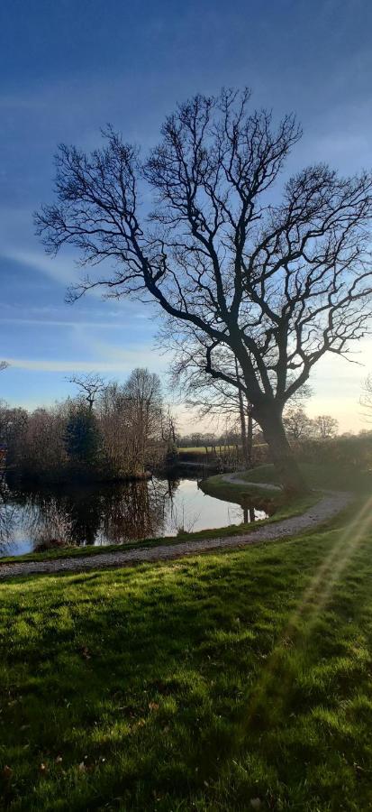 Kingfisher Cabin - Wild Escapes Wrenbury Off Grid Glamping - Ages 12 And Over Baddiley Kültér fotó